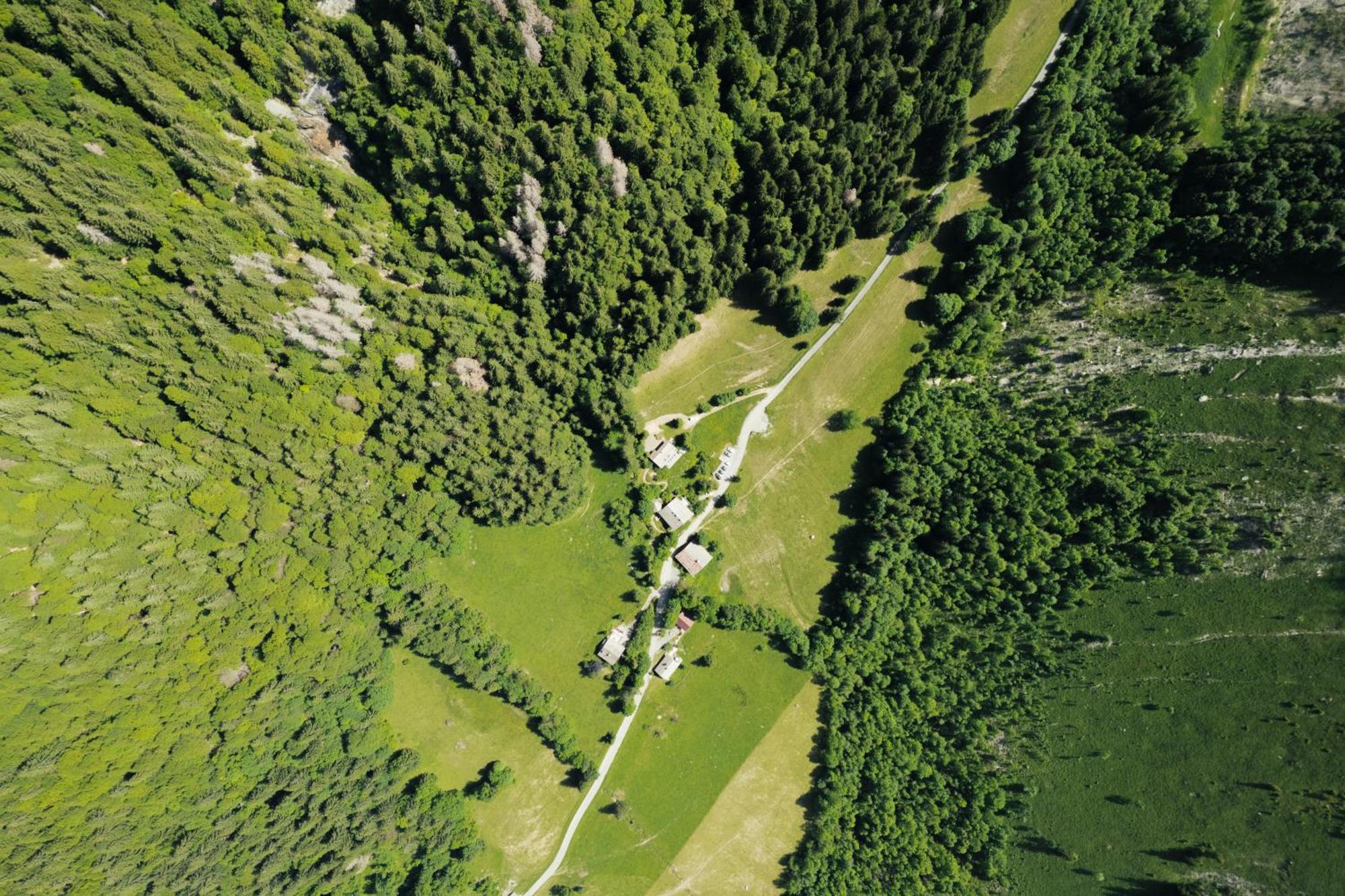 Chalet 1864 Le Grand-Bornand Εξωτερικό φωτογραφία