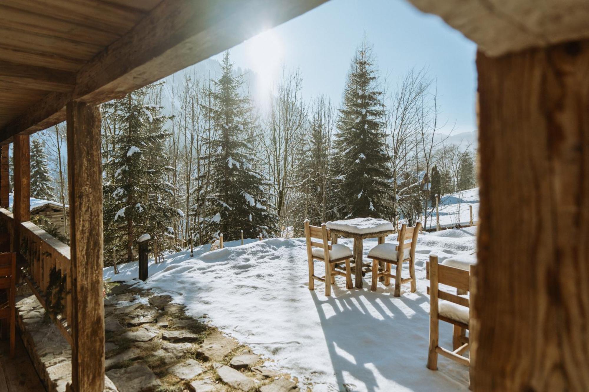 Chalet 1864 Le Grand-Bornand Εξωτερικό φωτογραφία