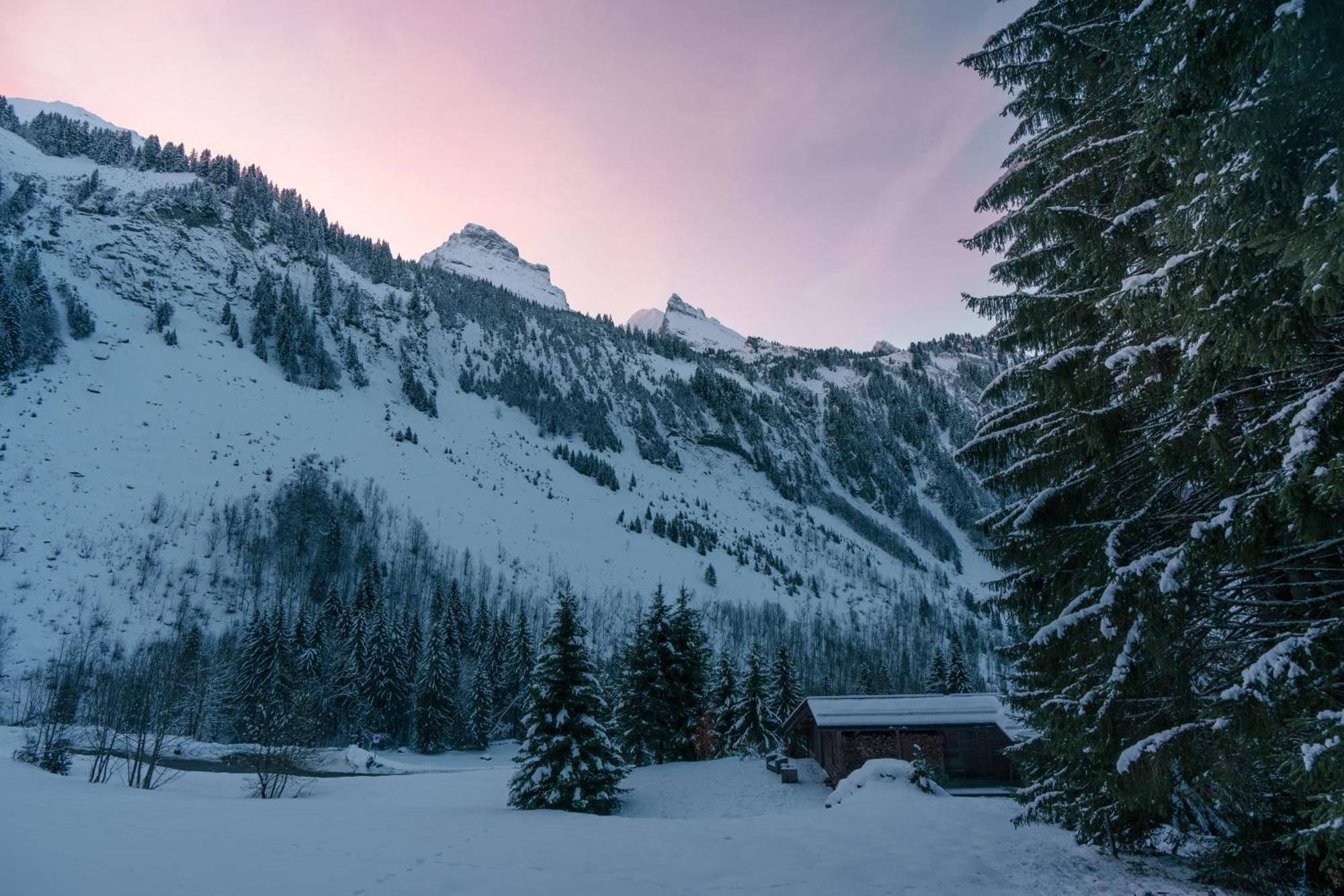 Chalet 1864 Le Grand-Bornand Εξωτερικό φωτογραφία
